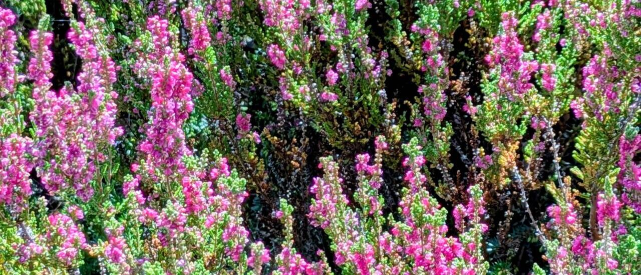 In der ersten Herbstferienwoche sind wir zu den gewohnten Zeiten für Sie da! In der ersten Herbstferienwoche sind wir zu den gewohnten Zeiten für Sie da!